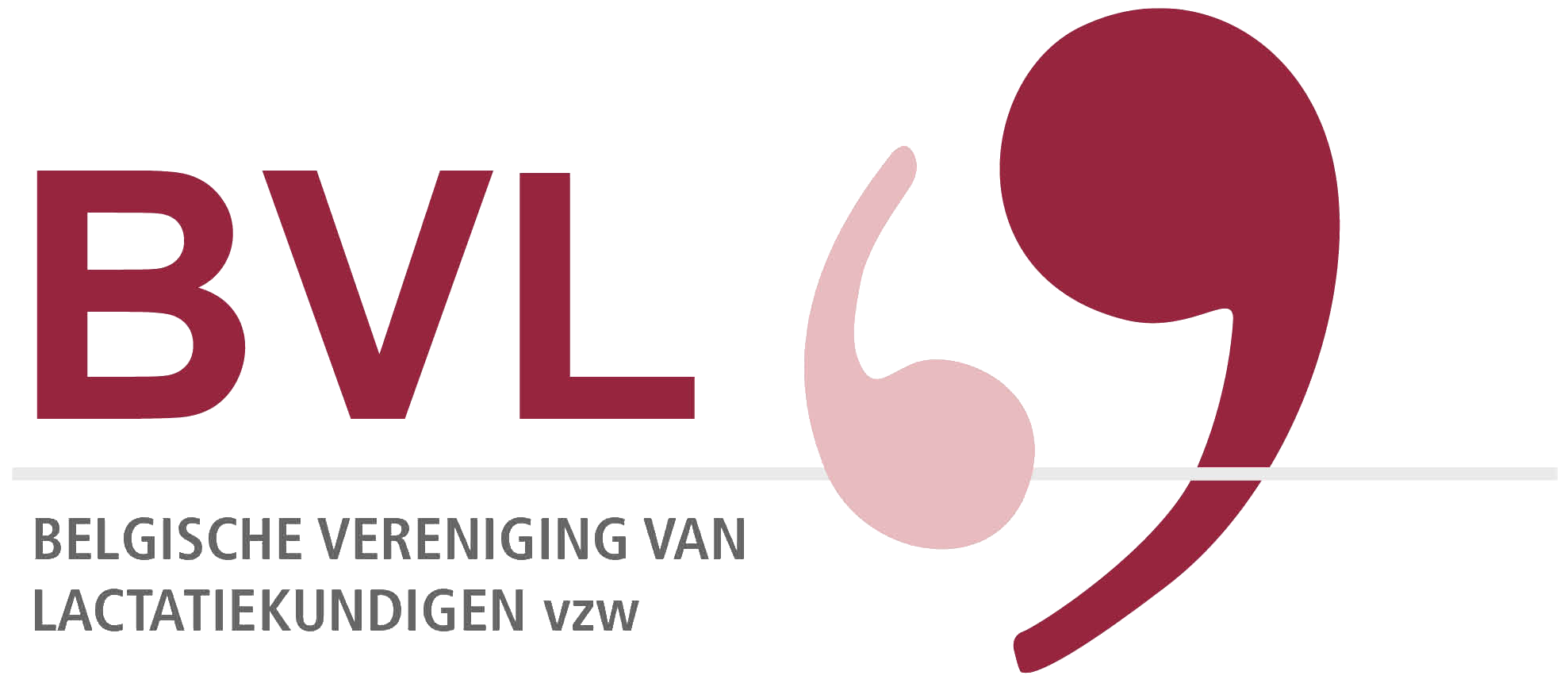 BVL logo
